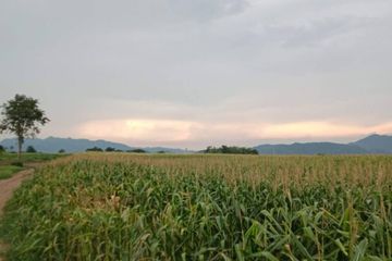 Land for sale in Hin Son, Saraburi