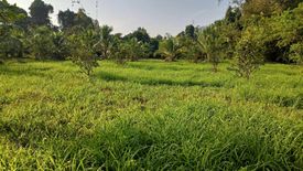 Land for sale in Khuan Lang, Songkhla