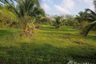 Land for sale in Khuan Lang, Songkhla