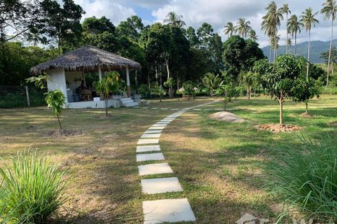 Land for sale in Na Mueang, Surat Thani