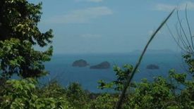 Land for sale in Taling Ngam, Surat Thani