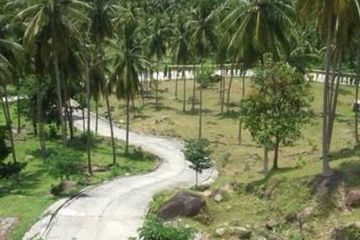Land for sale in Taling Ngam, Surat Thani