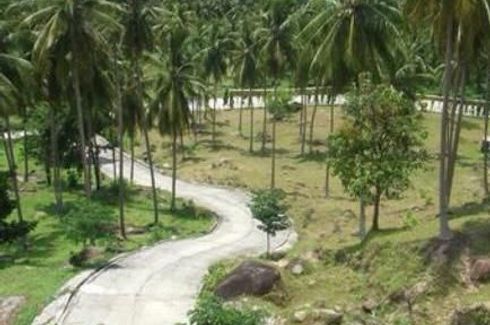 Land for sale in Taling Ngam, Surat Thani