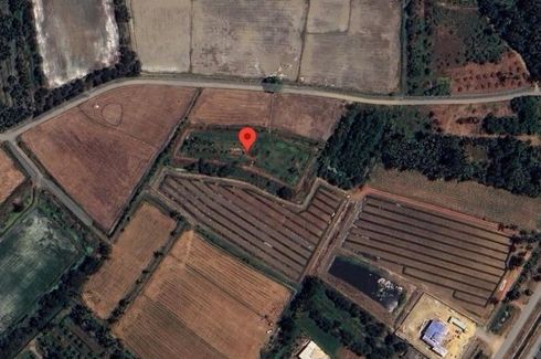 Land for sale in Nong Klang Na, Ratchaburi