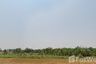 Land for sale in Nong Klang Na, Ratchaburi