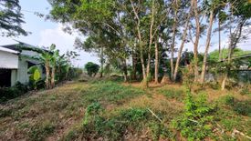 Land for sale in Si Sunthon, Phuket