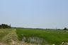Land for sale in Nong Pla Mo, Ratchaburi