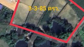 Land for sale in Pa Sak, Lamphun