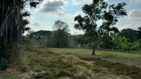 Land for sale in Thep Krasatti, Phuket