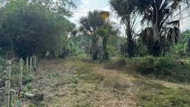 Land for sale in Thep Krasatti, Phuket