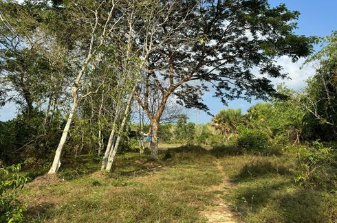 Land for sale in Thep Krasatti, Phuket