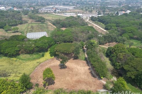 Land for sale in Tha Wang Tan, Chiang Mai