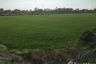 Land for sale in Ton Tan, Suphan Buri