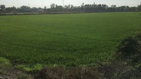 Land for sale in Ton Tan, Suphan Buri