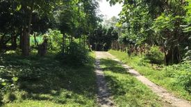 Land for sale in Huai Sai, Chiang Mai