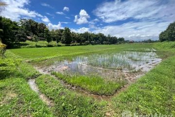 Land for sale in Huai Sai, Chiang Mai