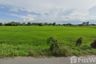 Land for sale in Ban Sa, Suphan Buri