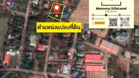 Land for sale in Pak Chong, Nakhon Ratchasima