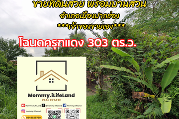 Land for sale in Pak Chong, Nakhon Ratchasima