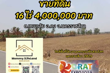 Land for sale in Mueang Khong, Nakhon Ratchasima
