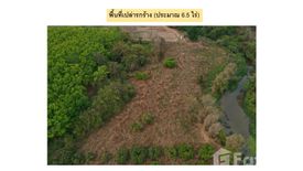 Land for sale in Mae O, Chiang Rai