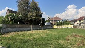 Land for sale in Nong Chom, Chiang Mai