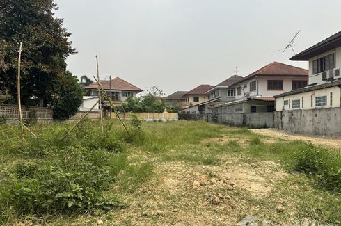 Land for sale in Nong Chom, Chiang Mai