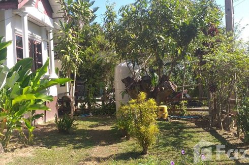 3 Bedroom House for rent in Chiang Rai Mueang Mai, Rop Wiang, Chiang Rai