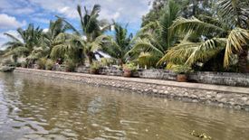 Land for sale in Bang Yang, Samut Sakhon