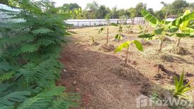 Land for sale in Non Thai, Nakhon Ratchasima