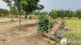 Land for sale in Thawi Watthana, Nonthaburi