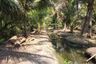 Land for sale in Tha Kha, Samut Songkhram