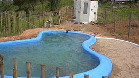 3 Bedroom House for sale in Rim Kok, Chiang Rai