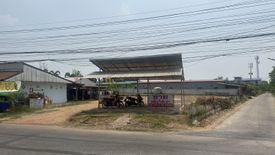 Land for sale in Kalasin, Kalasin