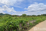 Land for sale in Tha Sut, Chiang Rai