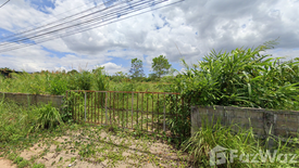 Land for sale in Tha Sut, Chiang Rai