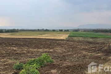 Land for sale in Na Yom, Phetchabun