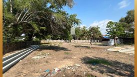 Land for sale in Samet, Chonburi