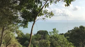 Land for sale in Ko Pha-ngan, Surat Thani