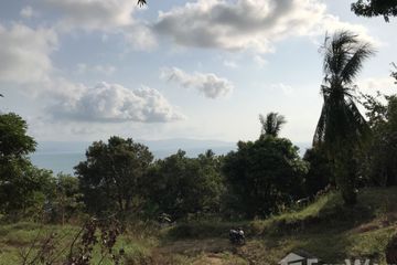 Land for sale in Ko Pha-ngan, Surat Thani