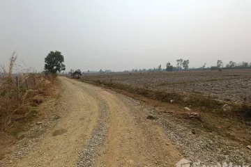 Land for sale in Huai Sak, Chiang Rai