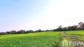 Land for sale in Bueng Wichai, Kalasin