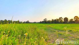 Land for sale in Bueng Wichai, Kalasin