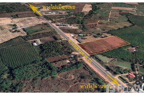 Land for sale in Khok Ngam, Loei