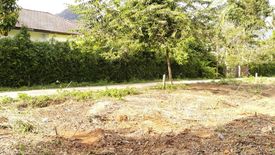 Land for sale in Ao Nang, Krabi