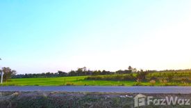 Land for sale in Lam Phan, Kalasin