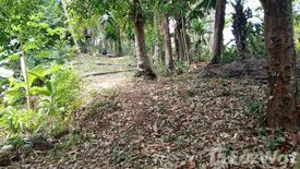 Land for sale in Choeng Thale, Phuket