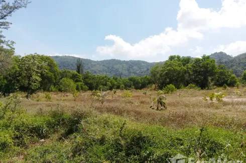Land for sale in Kamala, Phuket