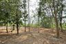 Land for sale in Ton Thong Chai, Lampang