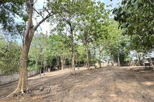 Land for sale in Ton Thong Chai, Lampang